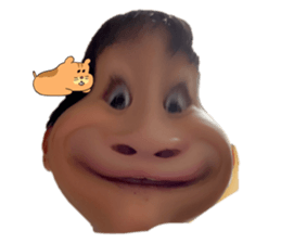 653844463