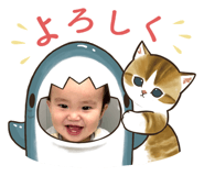 653860387