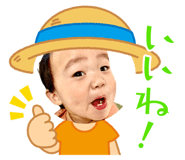 653860411
