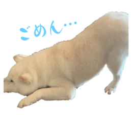 653860567