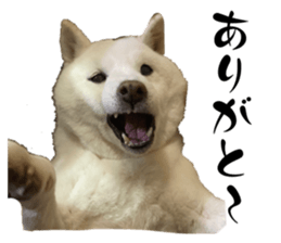 653860577