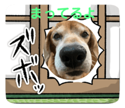 653905625