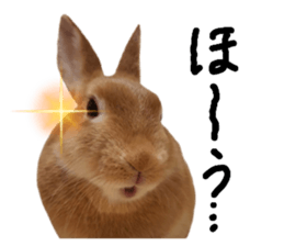 653922363
