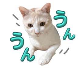 653965888