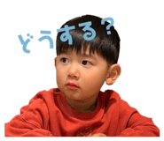 653970033