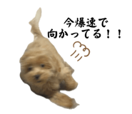 653975522