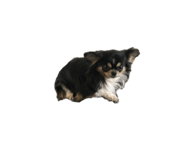 653976755