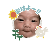 653991278