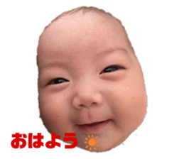 653991651