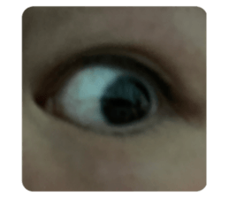 653996662