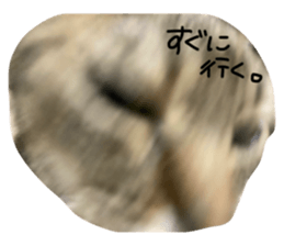 654014546