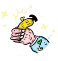 654033223