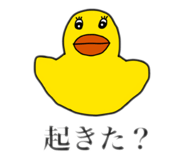 654056486