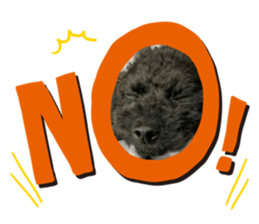 654162012