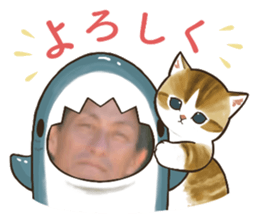 654163986