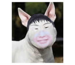 654164084