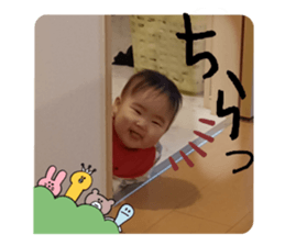 654203560