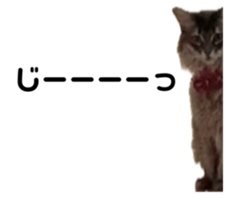 654212753