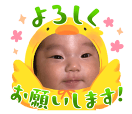 654220447