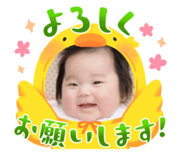 654220450