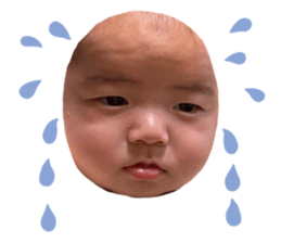 654235221