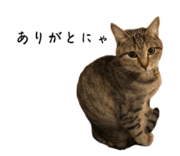 654238128
