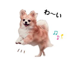 654239911