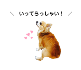 654239913