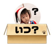 654251818