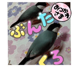 654254440