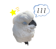 654258231