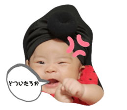 654267300