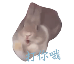 654269850