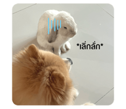 654270873