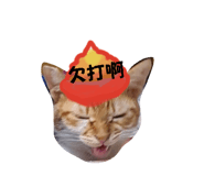 654273338