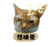 654273339