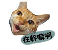 654273343