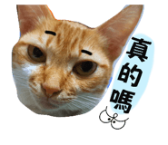 654273344