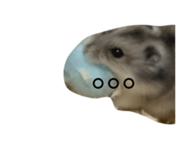 654279740