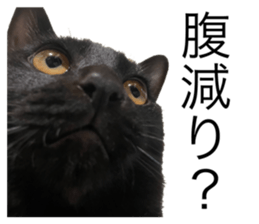 654295535