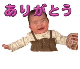 654306041