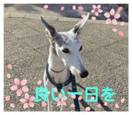 654307679