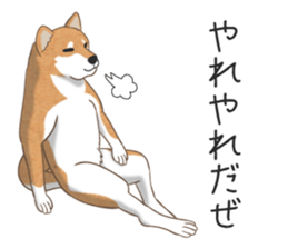 6543127