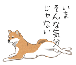 6543128