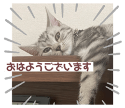 654314360