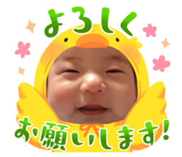 654337225