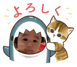 654347626