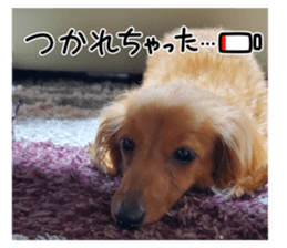 654347645