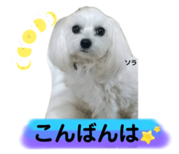 654347767