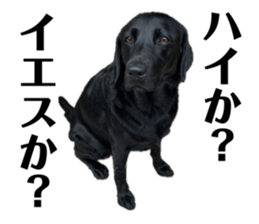 654358876